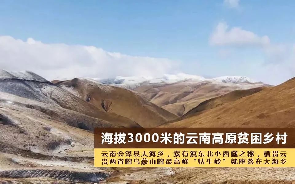 1671087749142435.jpeg 640.jpg