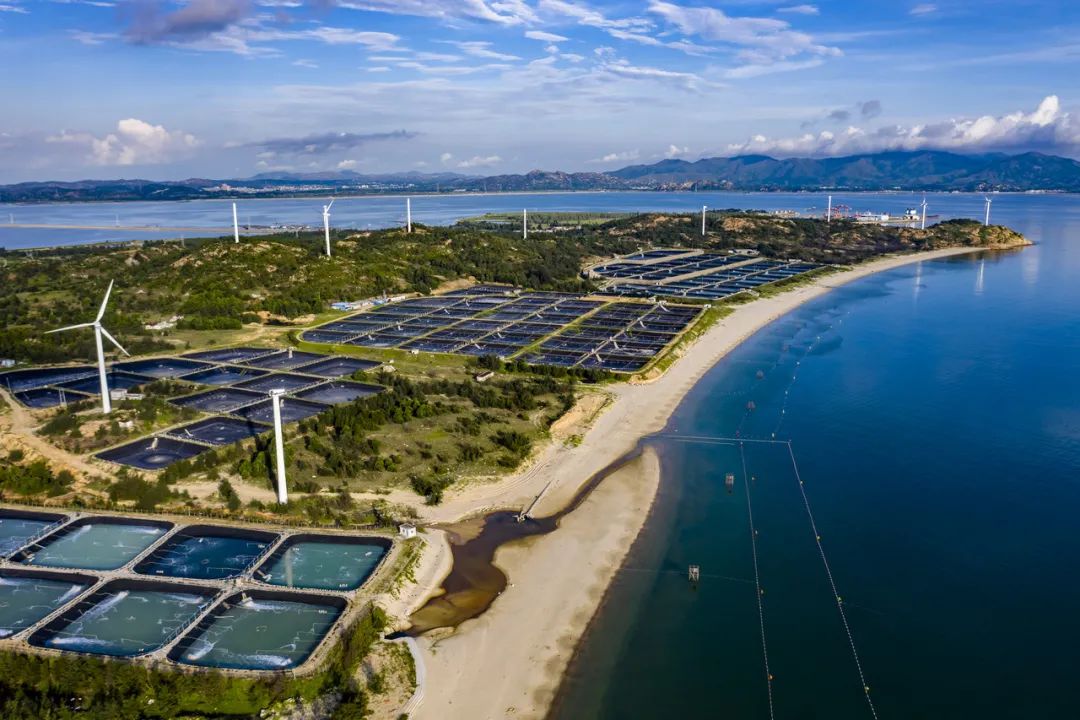 1616119578370999.jpeg 1616119578370999.jpeg