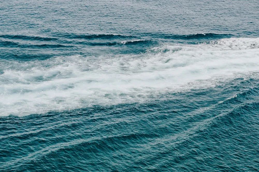 1614221789344734.jpeg 1614221789344734.jpeg