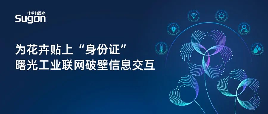 1666746988520419.jpeg 1666746988520419.jpeg